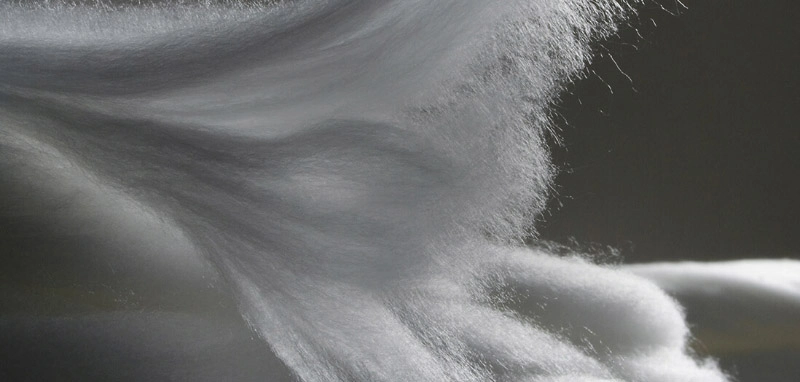 lenzing-parallax-teaser-strategie